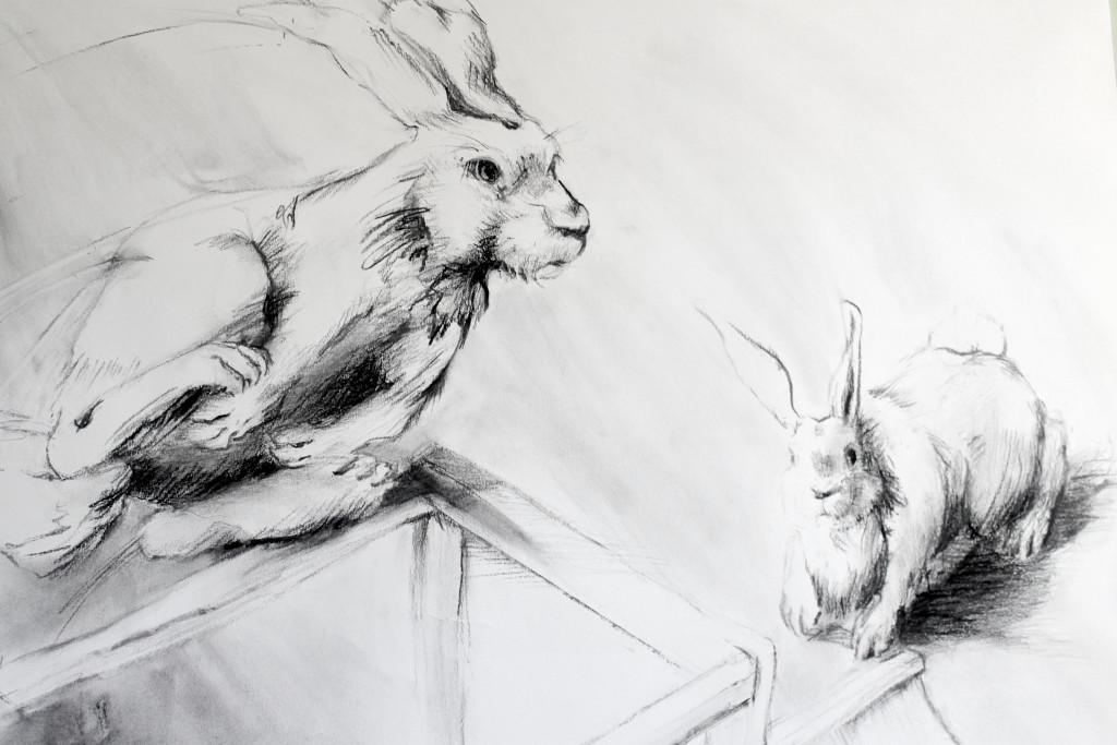 Rabbits-2_detail1 50x42 Charcoal 2016