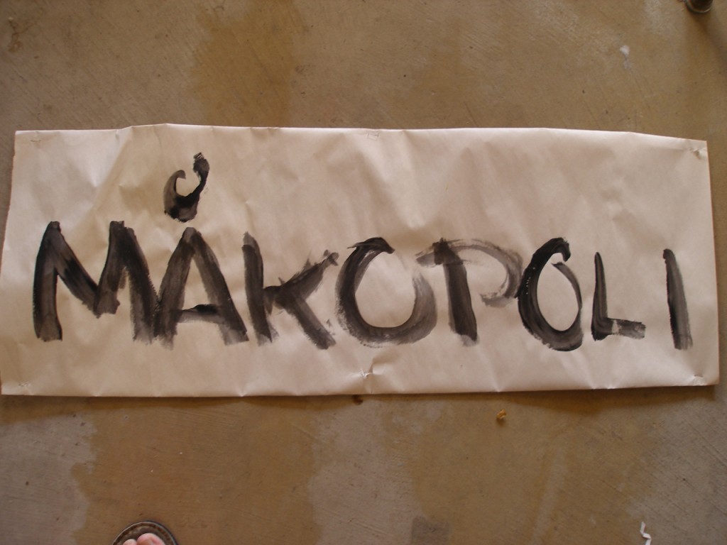 Makopoli/y