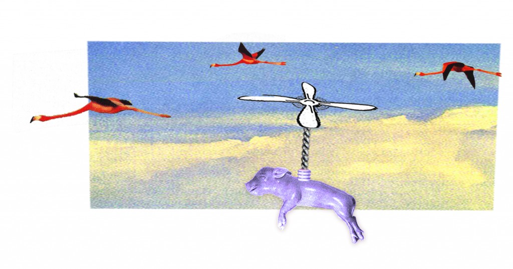 birds2