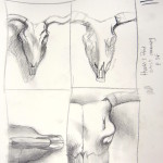 Drawing - cast shadow 1