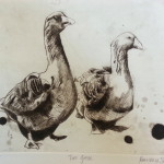 Printmaking - etching aquapoint spitbite drypoint