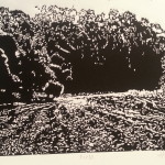 Printmaking - linoleum